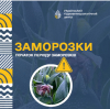 Початок періоду заморозків